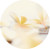 향(바닐라)